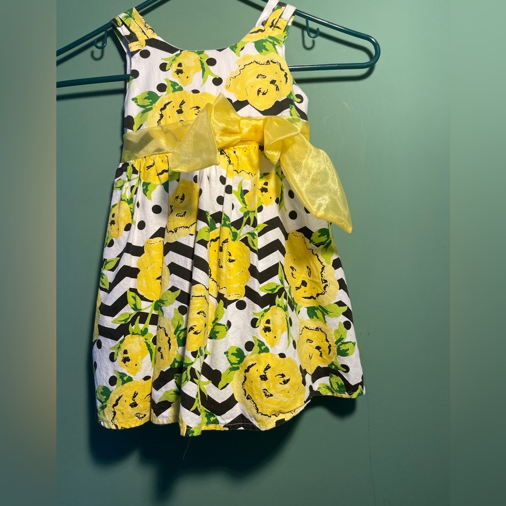 - RMLA adorable girls dress size 2T